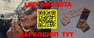 прущие грибы Обнинск