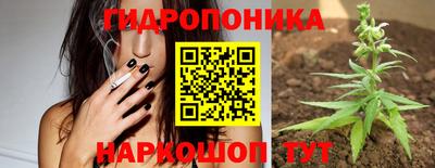 прущие грибы Обнинск