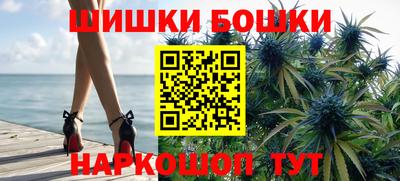 прущие грибы Обнинск