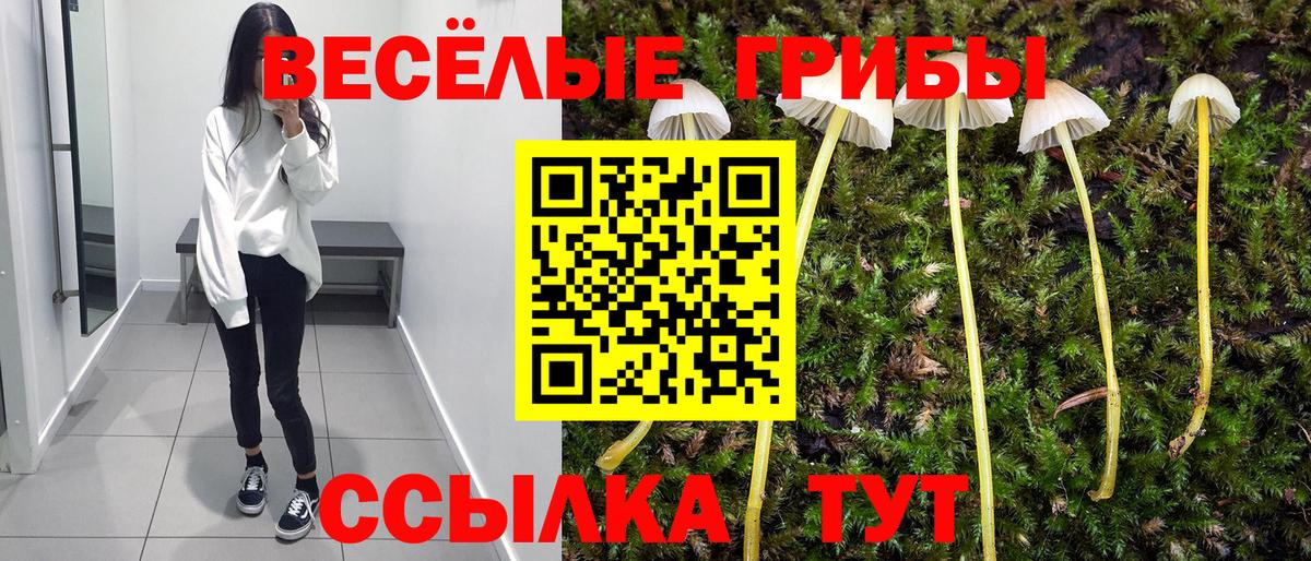 Галлюциногенные грибы MAGIC MUSHROOMS  Вход с VPN  Нальчик 