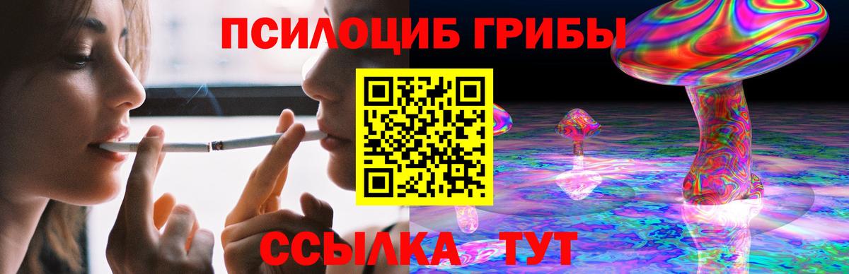 Галлюциногенные грибы Cubensis Нальчик
